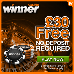 Winner Casino